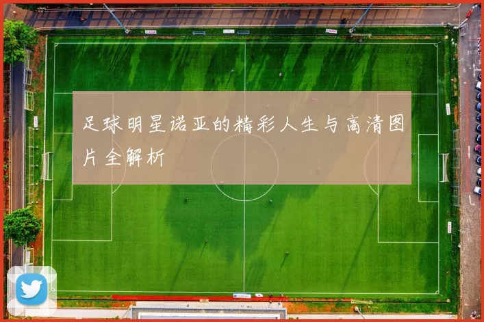 足球明星诺亚的精彩人生与高清图片全解析