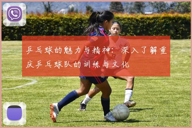 乒乓球的魅力与精神：深入了解重庆乒乓球队的训练与文化