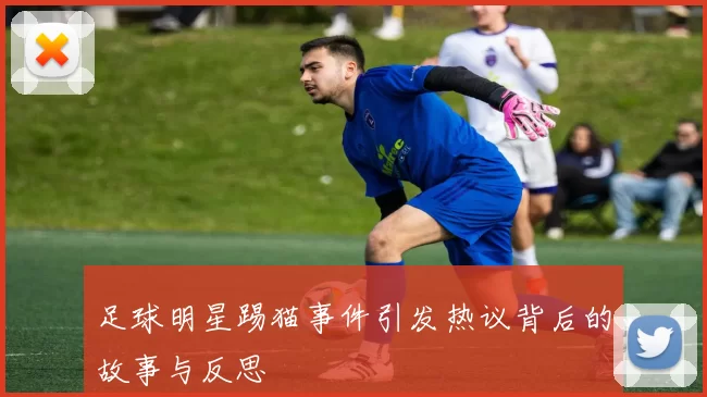 足球明星踢猫事件引发热议背后的故事与反思