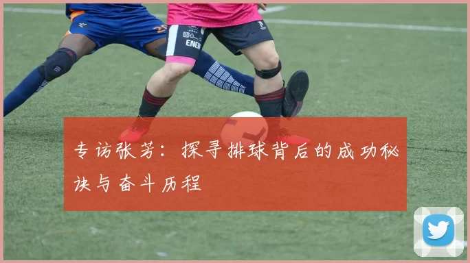 专访张芳：探寻排球背后的成功秘诀与奋斗历程