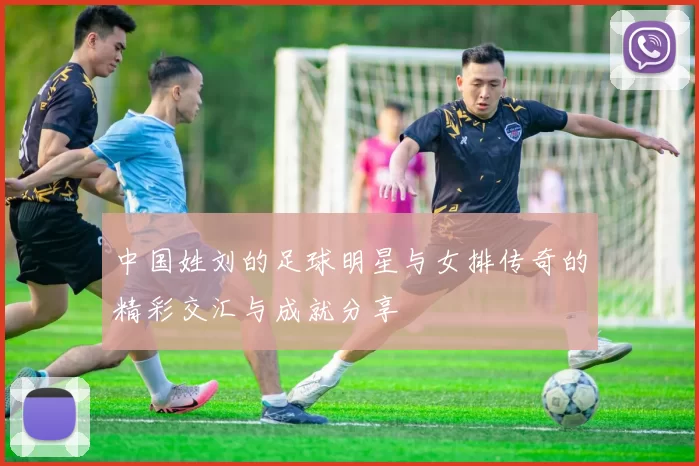 中国姓刘的足球明星与女排传奇的精彩交汇与成就分享