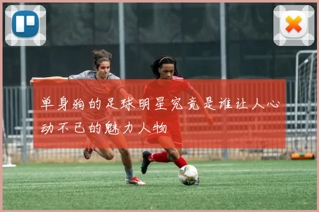 单身狗的足球明星究竟是谁让人心动不已的魅力人物