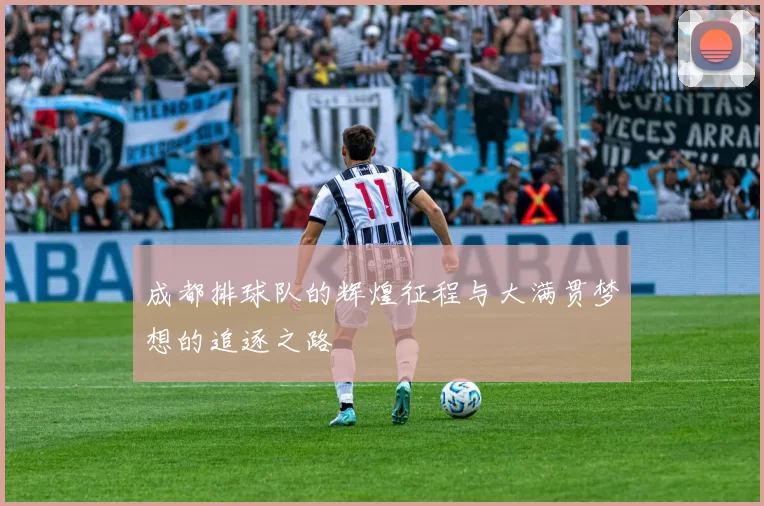 成都排球队的辉煌征程与大满贯梦想的追逐之路