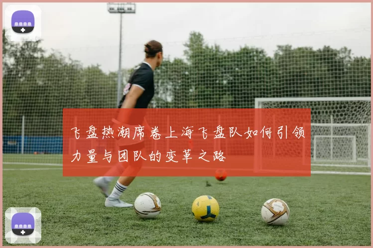 飞盘热潮席卷上海飞盘队如何引领力量与团队的变革之路