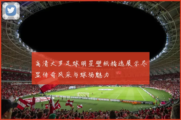 高清大罗足球明星壁纸精选展示尽显传奇风采与球场魅力