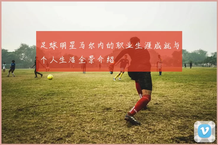 足球明星马尔内的职业生涯成就与个人生活全景介绍