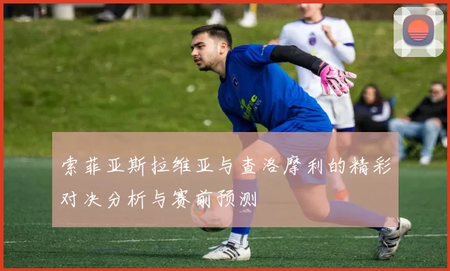 索菲亚斯拉维亚与查洛摩利的精彩对决分析与赛前预测