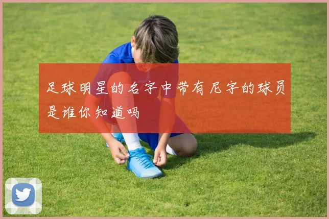 足球明星的名字中带有尼字的球员是谁你知道吗