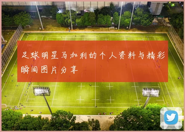 足球明星马加利的个人资料与精彩瞬间图片分享