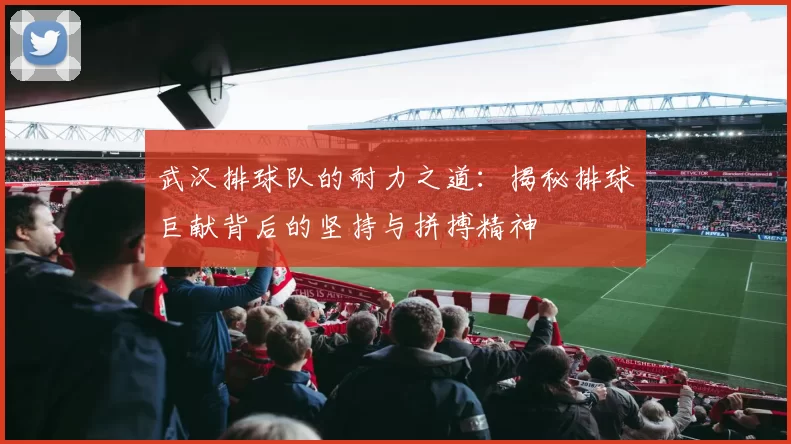 武汉排球队的耐力之道：揭秘排球巨献背后的坚持与拼搏精神
