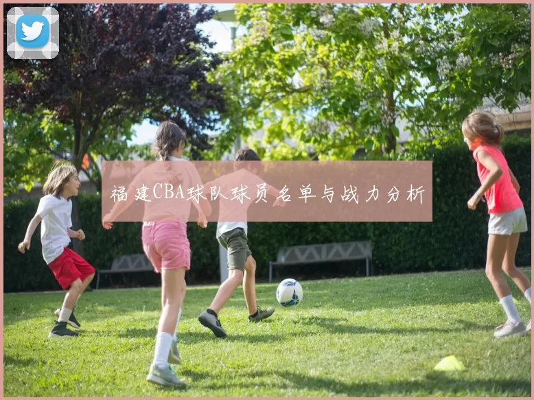 福建CBA球队球员名单与战力分析