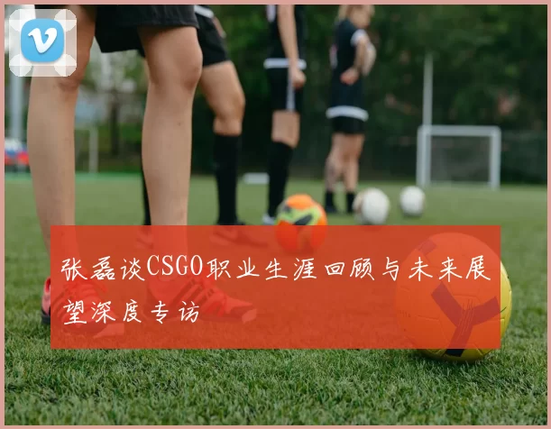 张磊谈CSGO职业生涯回顾与未来展望深度专访
