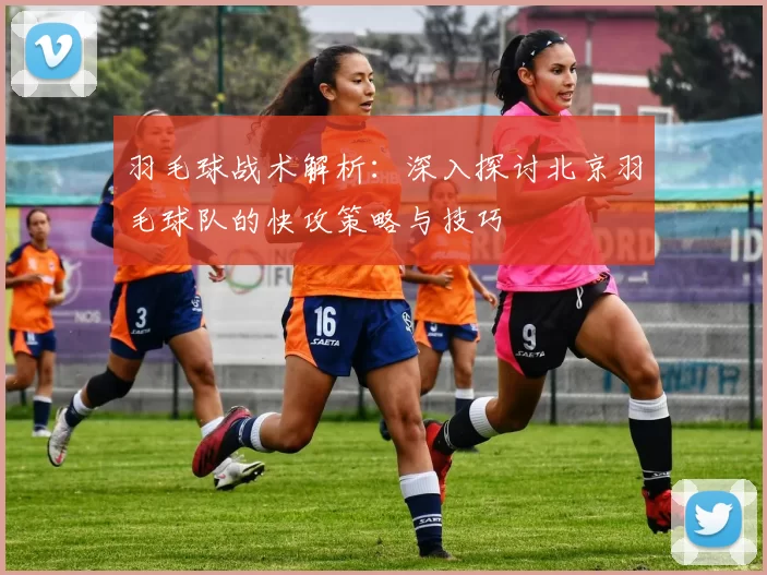 羽毛球战术解析：深入探讨北京羽毛球队的快攻策略与技巧