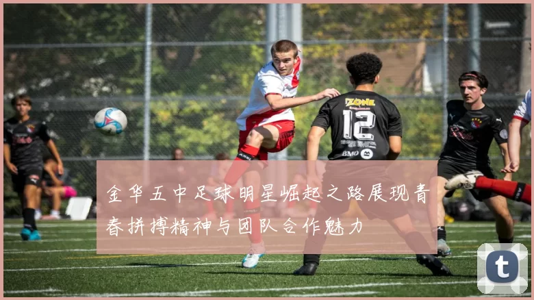 金华五中足球明星崛起之路展现青春拼搏精神与团队合作魅力