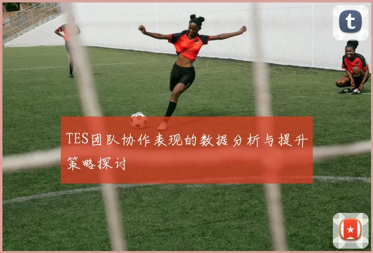 TES团队协作表现的数据分析与提升策略探讨