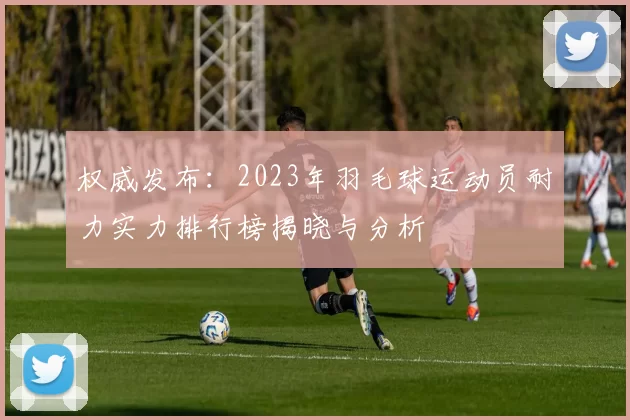 权威发布：2023年羽毛球运动员耐力实力排行榜揭晓与分析