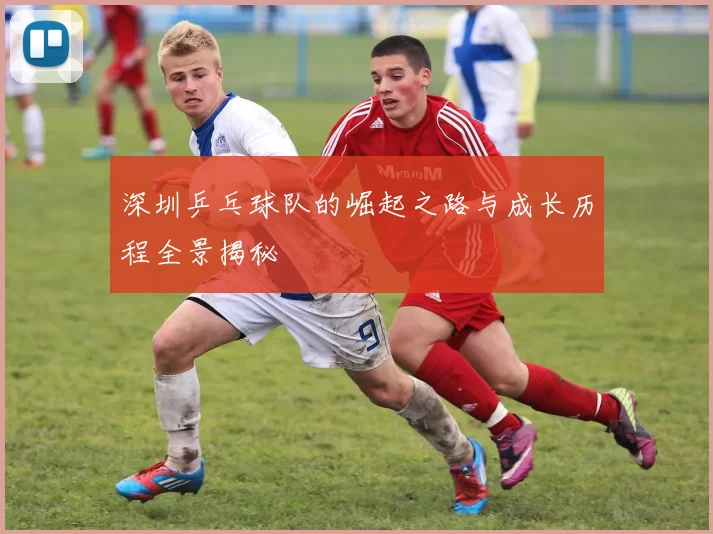 深圳乒乓球队的崛起之路与成长历程全景揭秘