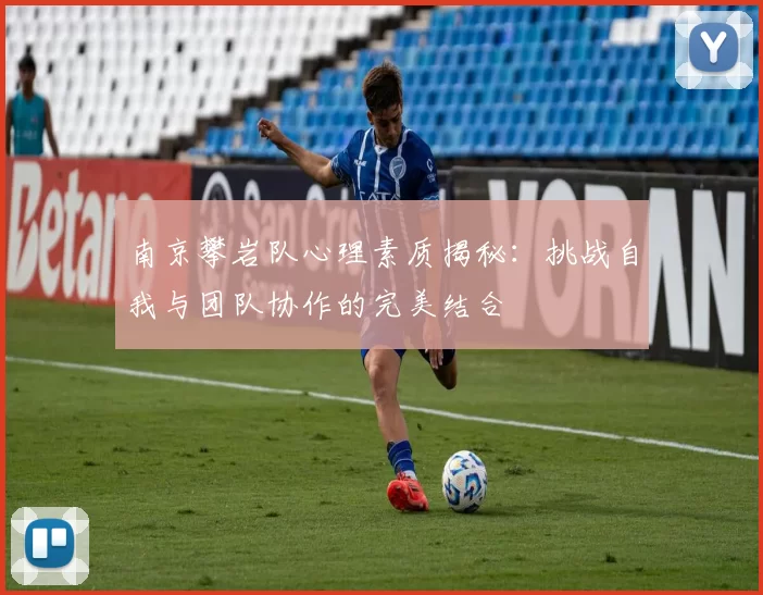 南京攀岩队心理素质揭秘：挑战自我与团队协作的完美结合