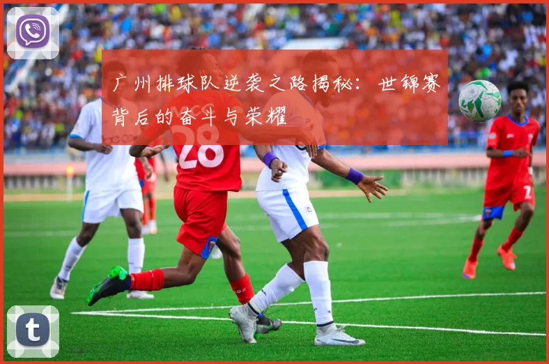广州排球队逆袭之路揭秘：世锦赛背后的奋斗与荣耀