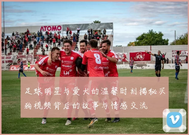 足球明星与爱犬的温馨时刻揭秘买狗视频背后的故事与情感交流