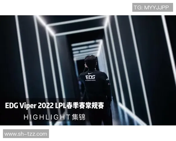 EDG青年赛背后的奋斗故事与成长历程全景回顾