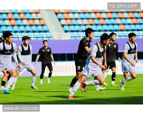 杭州足球队灵活性分析与战术调整对比赛表现的影响探讨