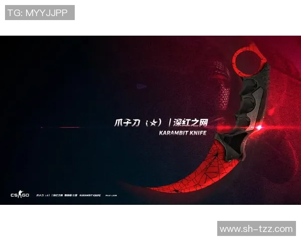 杨芳谈CSGO职业生涯与电竞未来展望的深度专访