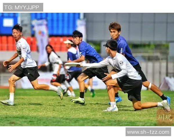 飞盘竞技的魅力揭秘：深入分析北京飞盘队的战术与策略